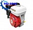 Máy nổ OSHIMA New OS160-R Cốt xéo ( 5,5 HP) - Động Cơ Xăng 