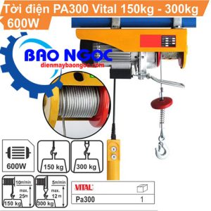 Máy tời điện Vital PA 300 - Máy tời điện